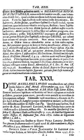 Tab. XXXI.