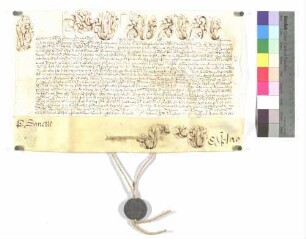 Bulle über die Aufschwörung des Ellwanger Kapitularen Johann Philipp Heinrich von Erthal.