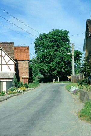 Straße, an deren Ende Linde, Wegweiserstein, Steinkreuz stehen