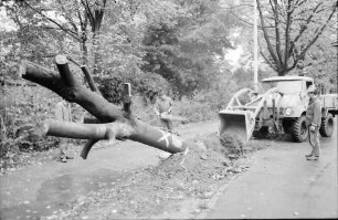 Freiburg: Friedhofstraße, Umlegen mit Bolldozer