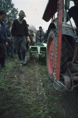 Fotografie: Gartenbautechnik-Freiland, Erntetechnik, Möhren, Radies, Sellerie, Zwiebel