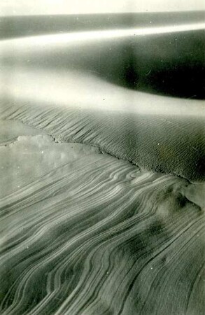 Kurische Nehrung