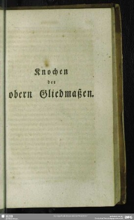 Knochen der obern Gliedmaßen