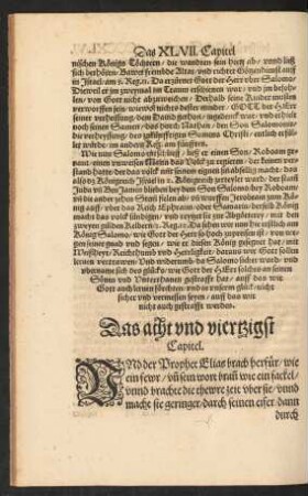 Das acht und viertzigst Capitel.