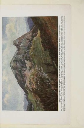 Höhenvegetation am Roßstein (1700 m) bei Bad Kreuth in den Bayrischen Alpen. Frühlingsbild