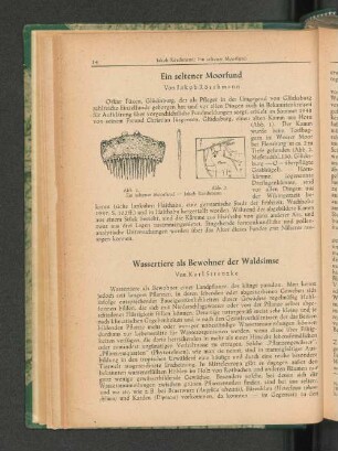 Ein seltener Moorfund
