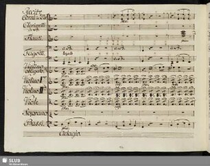 Recit[ati]vo [acc.]: Consolatevi al fine