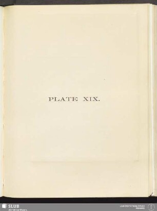 Plate XIX
