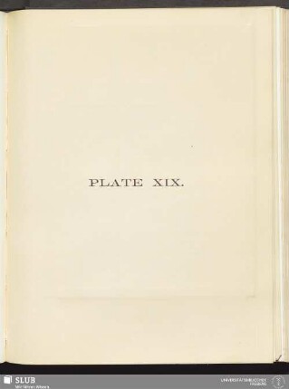 Plate XIX