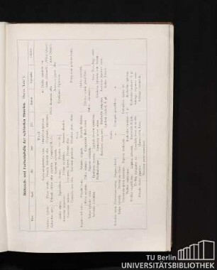Blütezeit- und Farbentabelle der schönsten Stauden.