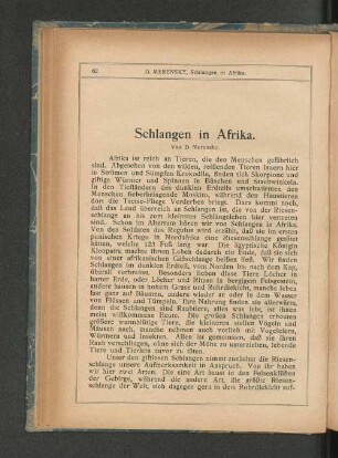 Schlangen in Afrika.