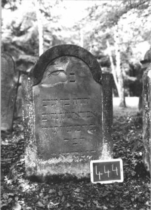 Grabstein 444 (Index: 99895642) Material: Sandstein Zustand: gut, oben abgeblättert Maße HxBxT: 106x67x9 cm Beschreibung: Stele mit eingezogenem Rundbogenabschluss: Grabstein 444