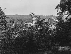 Schloss hinter Bäumen : Türme, vermutlich Teile eines Schlosses, hinter Bäumen