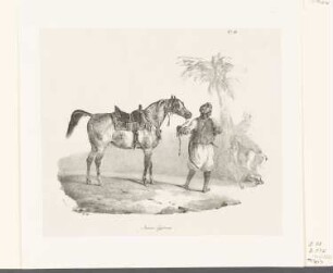 Jument Égyptienne, Blatt 11 der Folge "Etudes de Chevaux Lithographies"