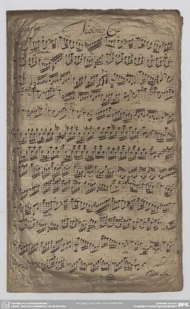 Concertos - Mus.2392-O-13a : vl, strings, bc - a; TWV 51: a 2