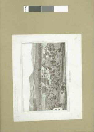 Beuggen, [Schloss]