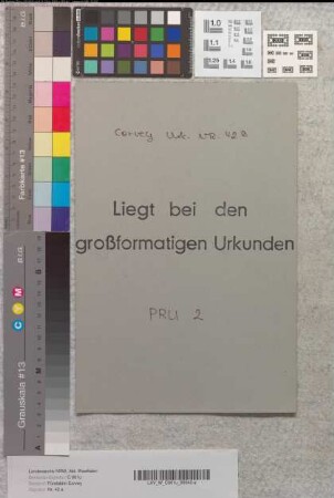 Fragment von dem Original der ältesten corveyischen Heberolle.