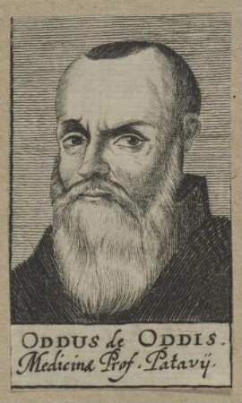Bildnis des Oddus de Oddis