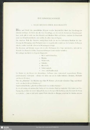 Die Knochenlehre