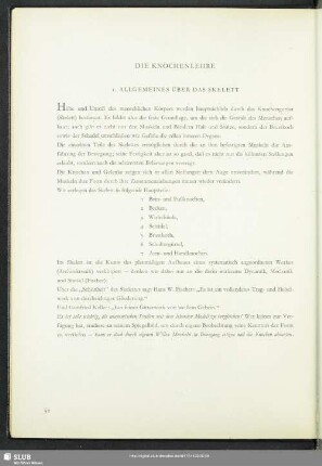 Die Knochenlehre