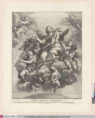 Quasi aurora consurgens. Assunta est Maria in Coelum, gaudent Angeli, laudantes benedicunt Dominum.