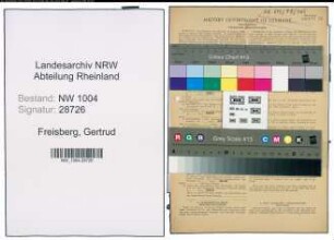 Entnazifizierung Gertrud Freisberg , geb. 06.03.1914 (Kindergaertnerin)