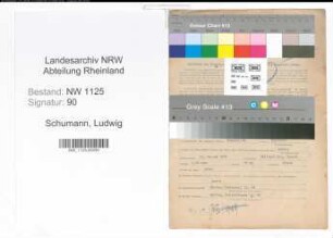Entnazifizierung Ludwig Schumann , geb. 14.01.1903 (Oberpolier)