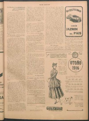 El proceso de la vida de una mariposa