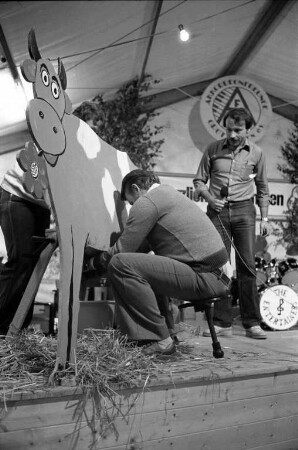 Gartenfest der Akkordeonfreunde Grötzingen e.V.
