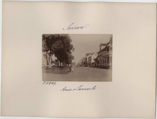 Street in Paramaribo