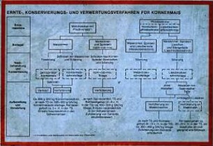 Ernte-, Konservierungs- und Verwertungsverfahren für Körnermais