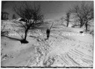 Skiläufer in winterlicher Gebirgslandschaft