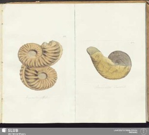 178 183
