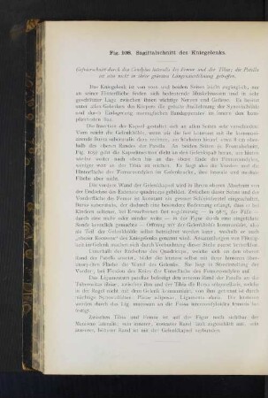 Fig. 108. Sagittalschnitt des Kniegelenks.