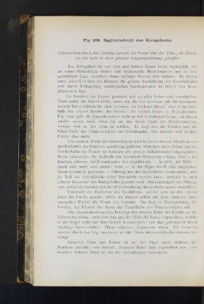 Fig. 108. Sagittalschnitt des Kniegelenks.