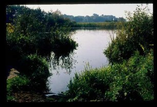 Spree b. Rahnsdorf 6.10.73.