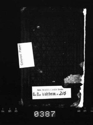 Gerichtshandelsbuch von Grünlichtenberg, Meinsberg, Massanei, Moosheim, Höckendorf (bei Waldheim) und Richzenhain