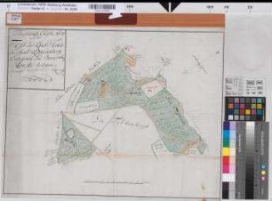 Hörste (Halle) Teilung der Foß(Voß)- und Riesheide nach 1788 100 Ruten = 13,7 cm 43 x 56,5 kol. Zeichnung M. Reinhold Spez.Verz. Markenkarten X Nr. 78,1