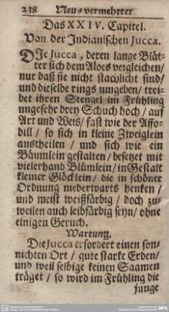 Das XXIV. Capitel. Von der Indianischen Jucca.