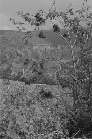 Schwarzburg. Blick zum Schloss Schwarzburg