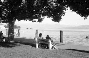 Langenargen: Blick auf See mit Schiff, Vordergrund Bank