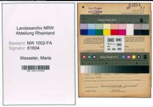 Entnazifizierung Maria Wesseler, geb. 27.11.1904 (Haendlerin)