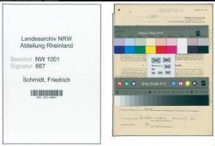 Entnazifizierung Friedrich Schmidt, geb. 01.03.1891 (Kaufmann)
