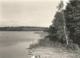 Moritzburg. Am Mittelteich