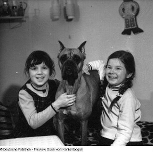 Kinderaufnahmen III: Baby und zwei Mädchen mit Hund