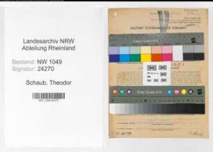 Entnazifizierung Theodor Schaub , geb. 24.12.1903 (Kaufmaennischer Angestellter)