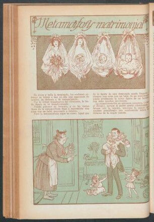 Metamorfosis matrimonial