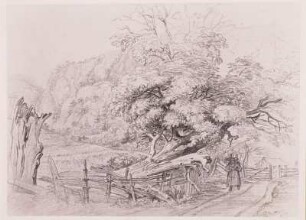 Gebirgslandschaft mit liegendem Baum