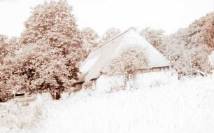Worpswede: Bauernhaus, Vordergrund Kornfeld bei Worpswede