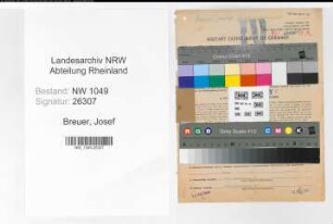 Entnazifizierung Josef Breuer , geb. 18.06.1903 (Metzger)